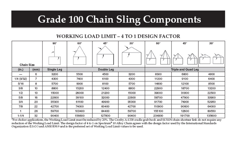  2 ChainSling Accessories Grade 100 Alloy Chain
